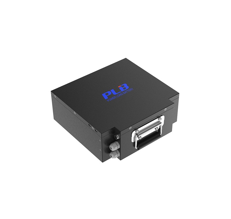 24V 40Ah LiFePO4 Standard Battery Module